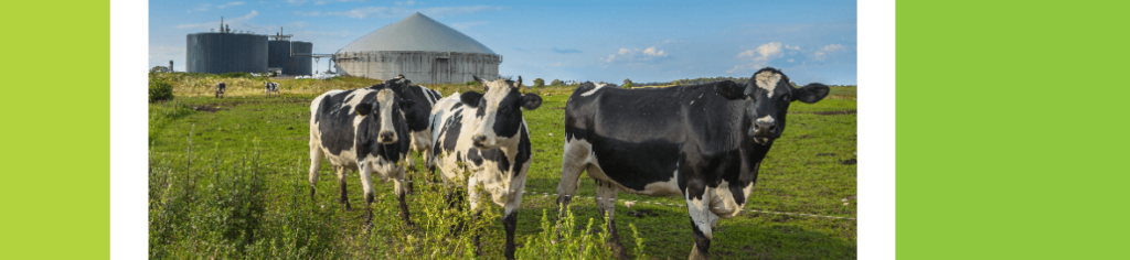 NEPA Environmental Assessment for a Dairy Anaerobic Digester Project