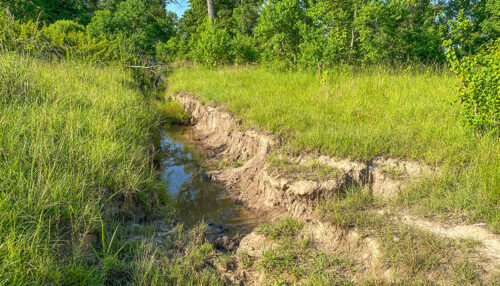 Bayou Chicot Solar case study