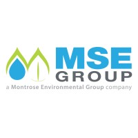 MSE Group