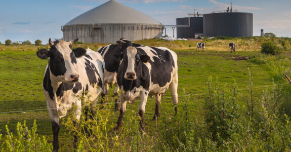 Bio Gas Installation on a farm processing Cow Dung