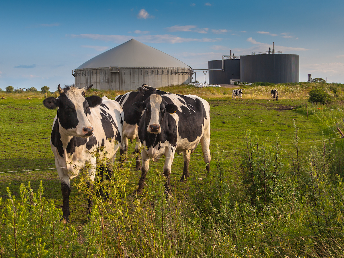What does it take to complete a biogas to RNG project at a dairy farm?