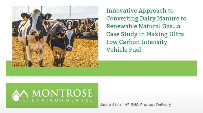 Montrose Environmental Group supplied a fully integrated system for a confidential west coast dairy farm to convert manure from 7800 milking cows to create renewable natural gas (RNG). 