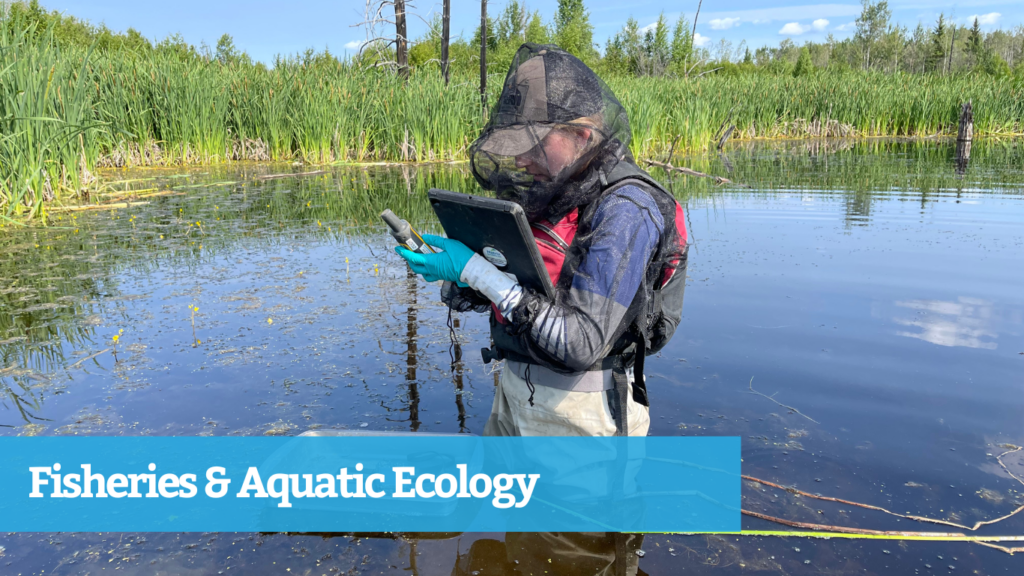 Fisheries & Aquatic Ecology