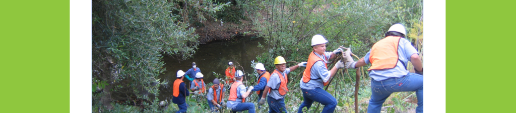 Sonoma County Water Agency’s Stream Maintenance Program