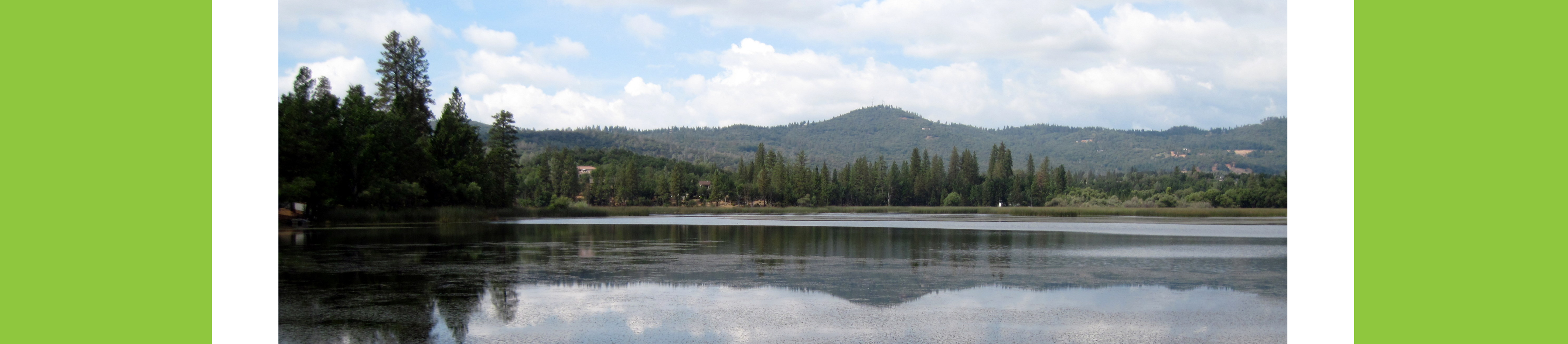 The Phoenix Lake Preservation and Restoration Project