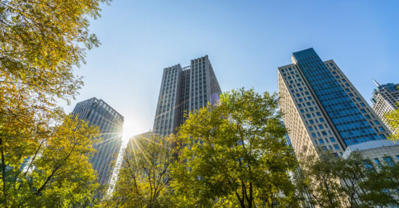 Business towers and Green leaves Making SB 261 Work for You