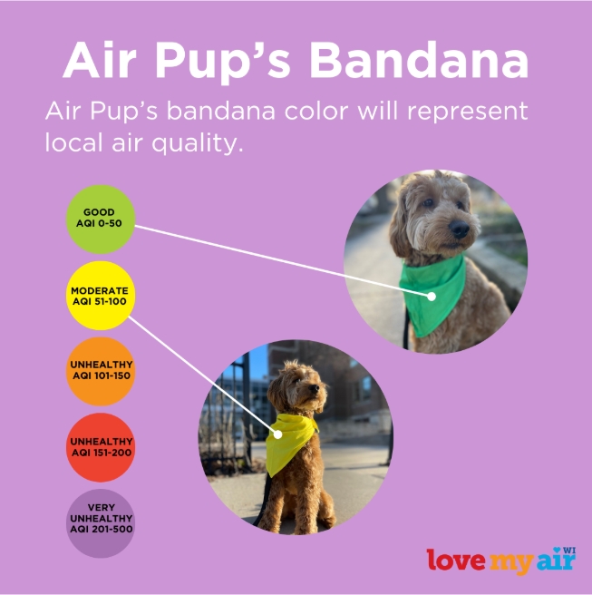 Air Pup