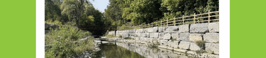Restoring Taylor-Massey Creek: Urban Resilience Through Nature-Based Design
