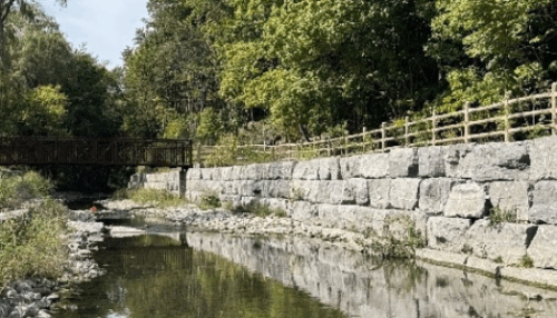 Restoring Taylor-Massey Creek: Urban Resilience Through Nature-Based Design