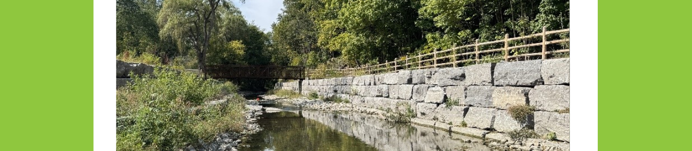 Restoring Taylor-Massey Creek: Urban Resilience Through Nature-Based Design