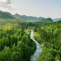Blog - Banner - PFAS Strategies Canada Blog: Staying Ahead of PFAS in Canada