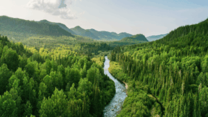 Blog - Banner - PFAS Strategies Canada Blog: Staying Ahead of PFAS in Canada