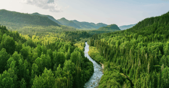 Blog: Staying Ahead of PFAS in Canada