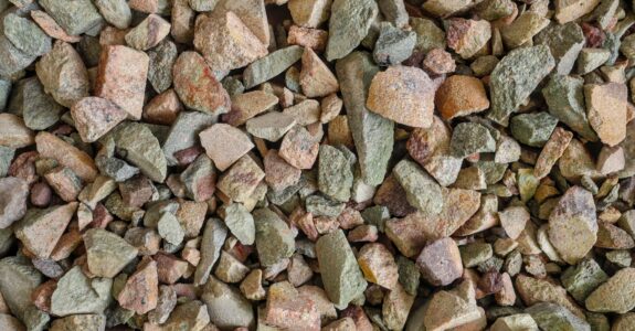 Critical Minerals and Rare Earth Metals Critical Minerals and Rare Earth Metals