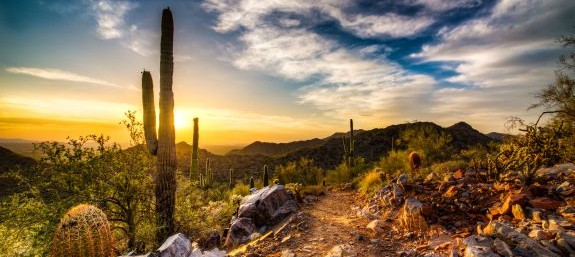 Montrose - Tribal Services